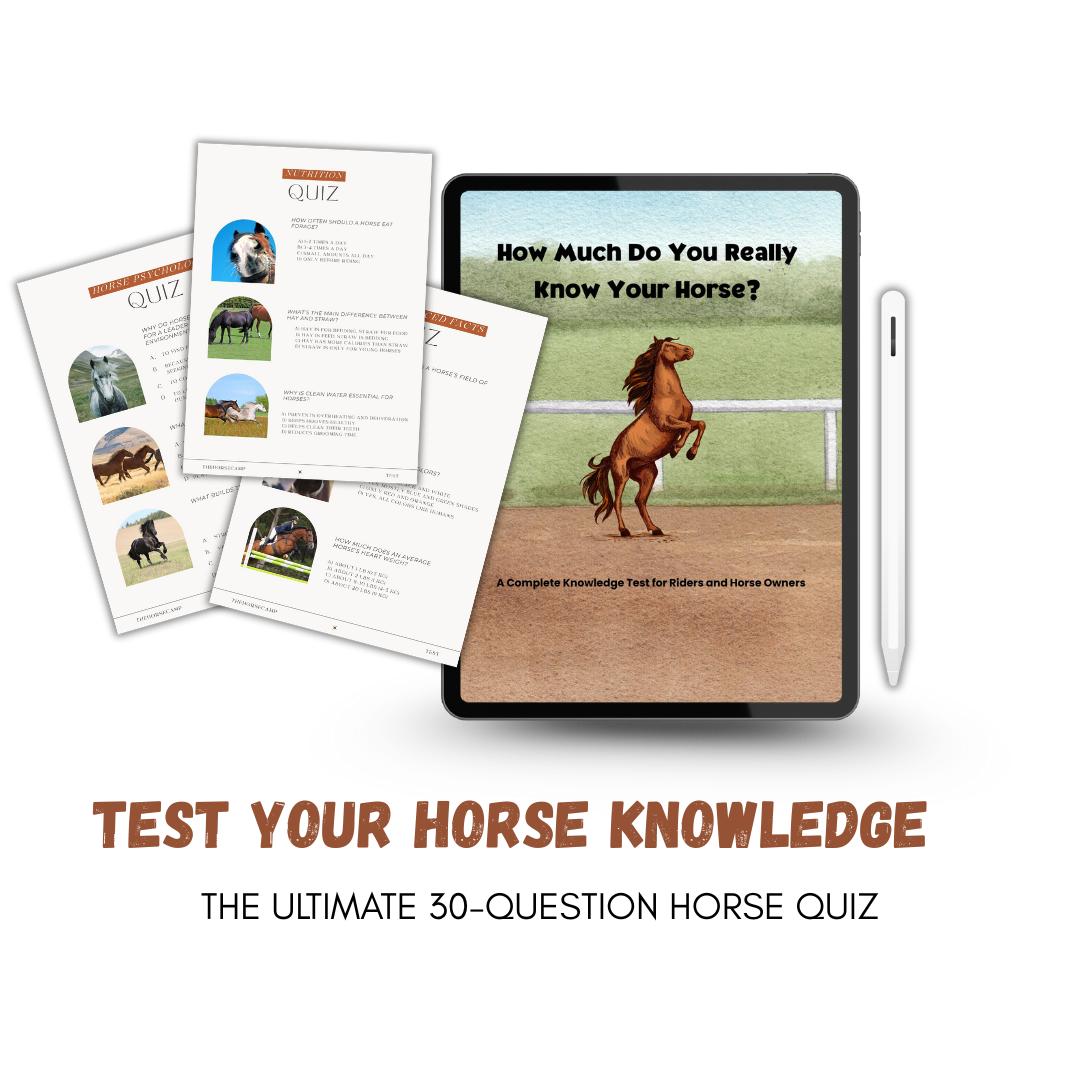The Rider's Quiz
