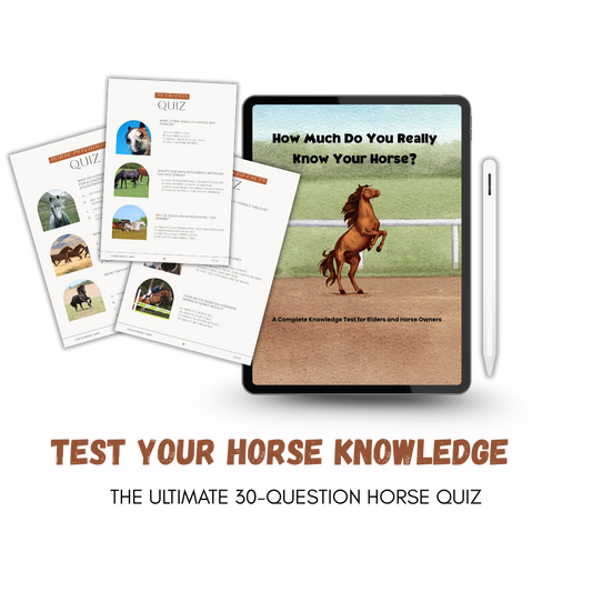 The Rider's Quiz